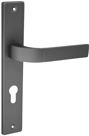 domino Türgriff 72 Drückergarnitur PZ - Profilzylinder Set Türklinke für Zimmertür, Bürotür, Kellertür & Innentür L-Form Türbeschläge aus Aluminiuml Titan Türdrückergarnitur FOKUS M8