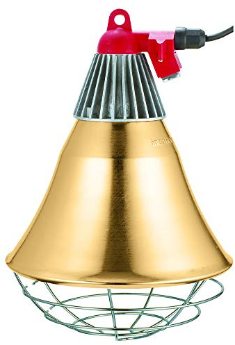 InterHEAT Panier de protection pour lampes infrarouges, avec interrupteur, câble de 5 m