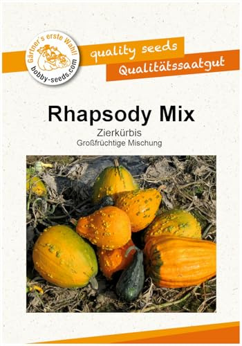 Rhapsody Mix Zierkürbis von Bobby-Seeds, Portion