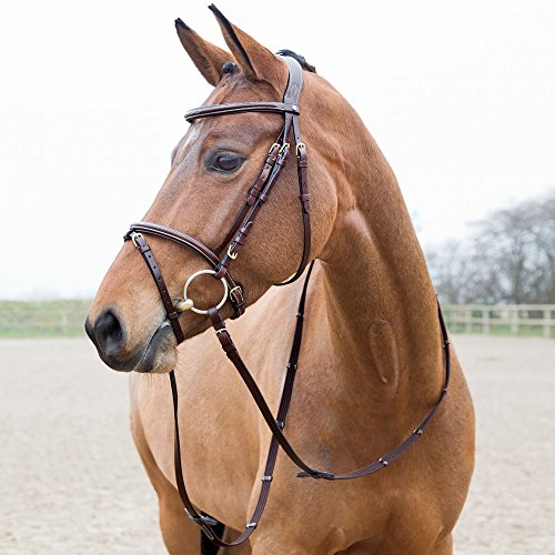 HORZE Pferde Trense Constance, Trensenzaum mit Zügel für Warmblut, Vollblut und Pony, Braun, P