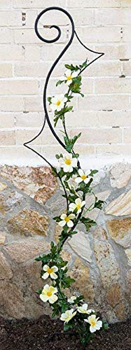 DanDiBo Support pour Plantes grimpantes Riva Treillis en métal H-148cm L-30cm Support pour Plantes grimpantes insérer dans Le Sol
