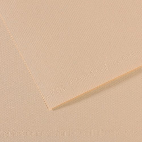 Canson 200321344 Mi-Teintes Künstlerpapier, 160 g/qm, 50 x 65 cm, pastellbeige