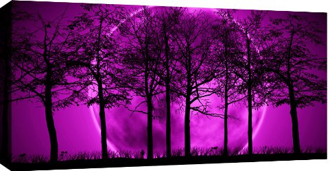 Große lila und schwarz Leinwand Bild Bäume Landschaft und fertig zum Aufhängen 101,6 x 50,8 cm 102 x 52 cm