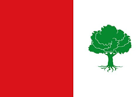 magFlags Bandera Large Municipio de El Peral Castilla-La Mancha | Bandera Paisaje | 1.35m² | 90x150cm