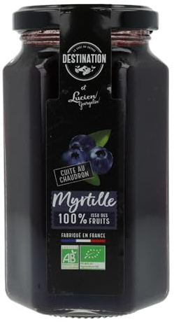 Destination Bio - Dessert Bio 100% Issu De Fruits - Myrtilles - 300 Grs
