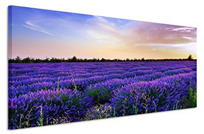 150x50cm Leinwandbild auf Keilrahmen Italien Provence Lavendelfeld Abendsonne Wandbild auf Leinwand als Panorama