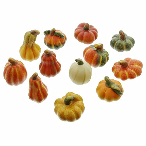 FRANK FLECHTWAREN Kürbis Deko, Terracotta-Kürbis, im 12er Set, natürlich, vielseitig verwendbar, Herbst & Halloween Deko