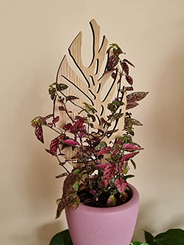 Leaflo Woodream Monstera Pflanzenstütze aus Eichenholz 30 cm | Größe S | Natürliches Rankgitter - Blumengitter - Rankhilfe | Für Zimmerpflanzen | Innenraum Dekoration | Für Pflanzenliebhaber