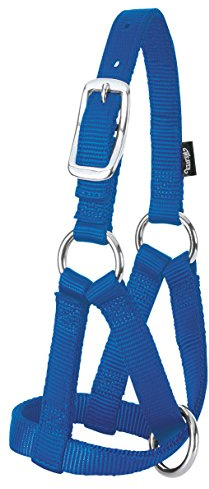 Weaver Leather Livestock Goat Halter, Blue, Small