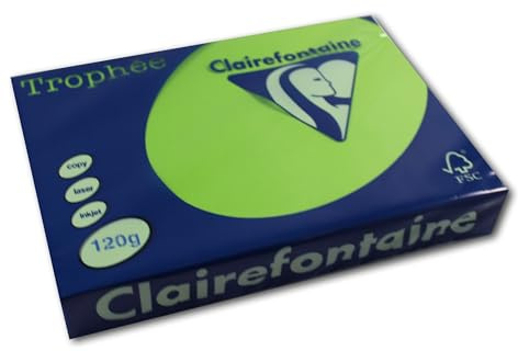 Clairefontaine 1293C - Ries mit 250 Blatt Druckerpapier / Kopierpapier Trophée, DIN A4 (21x29,7 cm), 120g, Minze intensive Farbe, 1 Ries