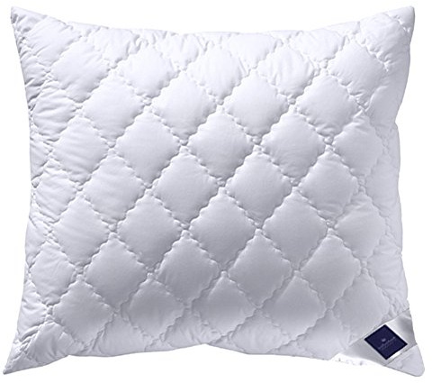 Billerbeck 5453290008 Kissen E45 Bamboo N, circa 70 x 90 cm