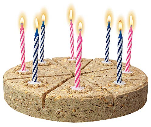 Schecker die Festtagstorte für den Hund - Diese Geburtstagstorte ist natürlich knusprig-hart gebacken - in 8 Stücke teilbar