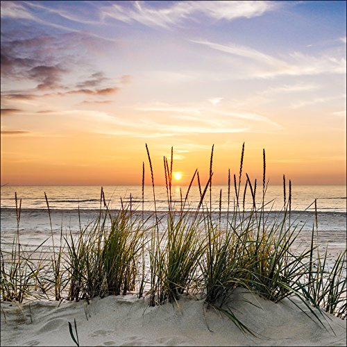Pro-Art-Bilderpalette gla1304d Lonely Dune Glas-Art, bunt, 20 x 20 x 1,3 cm