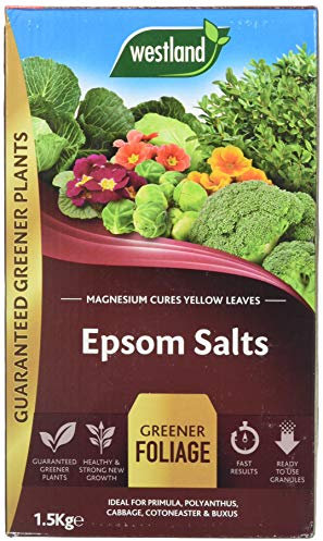 Westland 20600007 1.5 kg Epsom Salts Foliage Greener Fertilizer - Transparent