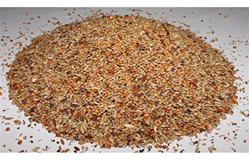 Kanarienfutter ohne Rübsen 10 kg Anhaltiner Premiumfutter