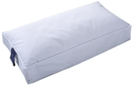 Billerbeck 2460120005 Kissen Daunalex NK, passende für Bezüge, circa 40 x 80 cm