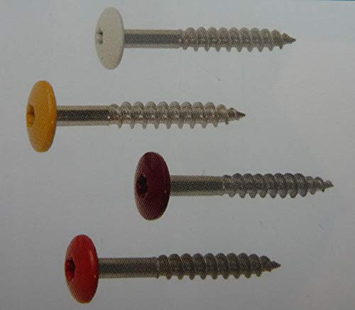 alt-intech Fassadenplatte Balkonplatte HPL Verschiedene Größen und Farben + Zubehör (Fassadenschraube Lackiert 4,8 x 38 mm VPE 100 St, Porzellan weiß)