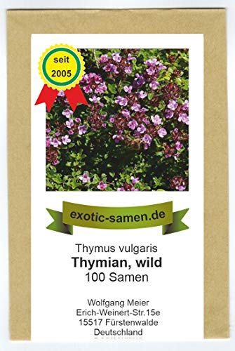 Wilder Thymian - Thymus vulgaris - 2000 Samen