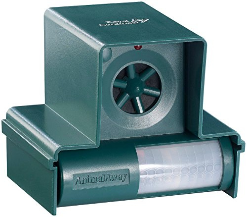 Royal Gardineer Katzenwarner: Hunde-, Katzen- und Vogelschreck TS-712 - das Original (Hunde Schrecker, und Katzenschreck, Akustischer Bewegungsmelder)