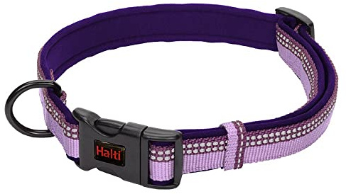 Collare Comfort HALTI - Cinghia regolabile con imbottitura in neoprene e tessuto 3M catarifrangente. Nylon di qualità. Leggero e ideale per cuccioli e cani piccoli (Taglia S, Viola)