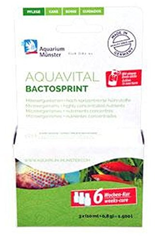 Aquarium Münster aquavital bactosprint 6-Wochen-Kur