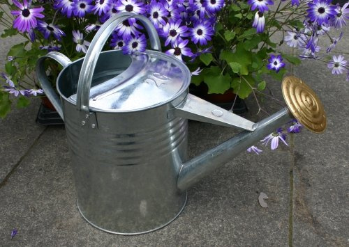 Regadera tradicional de lata galvanizada y latón (10 l aprox.)