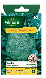 Vilmorin - Sachet graines Sachet graines Chou Brocoli Verdia