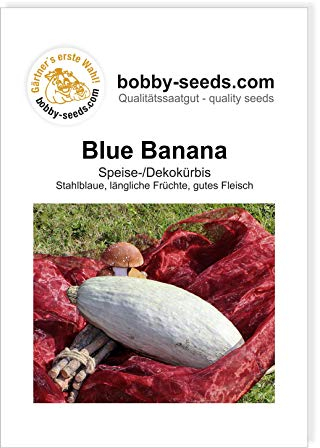 Blue Banana Kürbissamen von Bobby-Seeds Portion