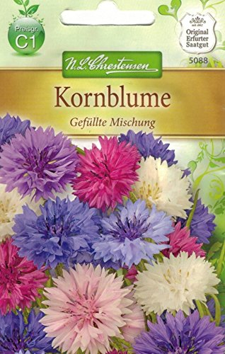 Chrestensen Kornblume 'Gefüllte Mischung'