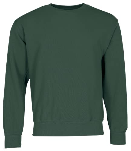 Fruit of the Loom Men's Classic Set-in Sweat Sweatshirt (pack of 1)
