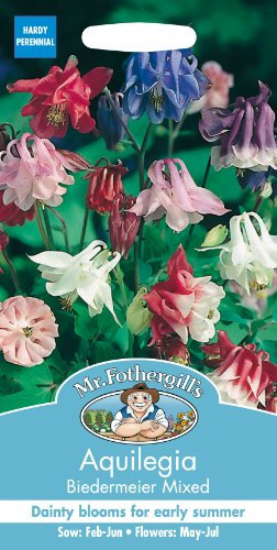 Mr. Fothergill's 24269 Aquilegia Biedermeier Mixed Flower Seeds