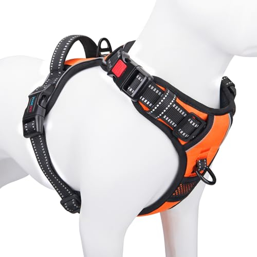 PHOEPET Hundegeschirr ohne Zug für kleine Hunde Reflektierende Weste mit verstellbarem Clip vorne mit Griff 2 Metallringe 3 Schnallen [Einfach an- und auszuziehen] (S, Orange)