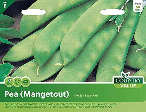 Country Value PEA (Mangetout) Oregon Sugar Pod Seeds