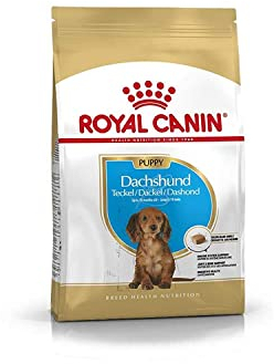 ROYAL CANIN Dachshund Puppy | 1,5 kg | Trockennahrung für Dackel-Welpen bis 10 Monate | Zur Unterstützung von Immunsystem, Verdauung & Knochenentwicklung | Kalziumfängerkroketten