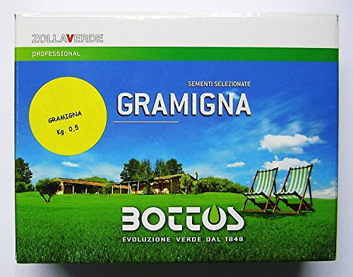 Bottos GRAMIGNA, Sementi ZollaVerde, Manto Erboso e Compatto Resistente a Calpestio e Siccità, Prato Verde tutto l'anno, 500gr