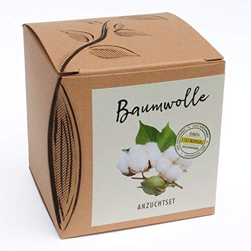 NATUR KRAFTWERK Gift Cultivation Set Cotton with Seeds of Pot Cotton, Great Gift Idea from Naturkraftwerk