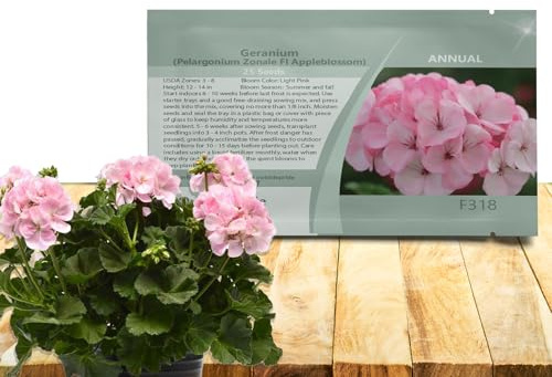 Outsidepride Appleblossom Geranium Seeds for Planting - 25 Pcs Annual, Heat & Drought Tolerant Flower Seeds with Green Foliage & Light Pink Blooms for Pots, Borders & Lush Summer Garden Displays