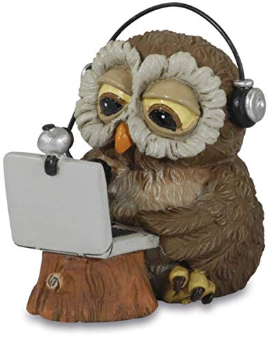 Funny Gufi - Skype Eule mit Laptop und Kopfhörer
