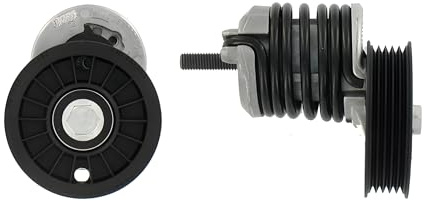 SKF VKM 31034 Kit Tensor Multi-V