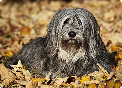 +++ PON Polnischer Hütehund - SCHNEIDEBRETT Dekoteller Glasbrett Dekoglas - PON 01