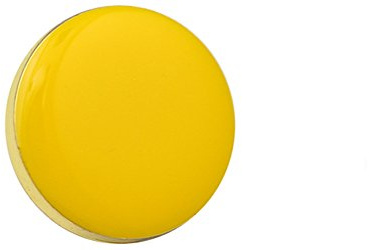 Capricornone Circle Enamelled 20.5mm Round School House Badge