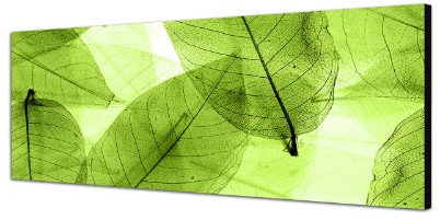 Augenblicke Wandbilder Keilrahmenbild Wandbild 150x50cm Blätter Silhouette Hintergrund grün