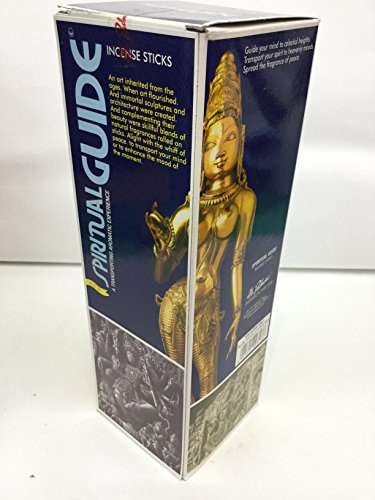 Encens spiritual guide - 8 grs - padmini - lot de 25 boites