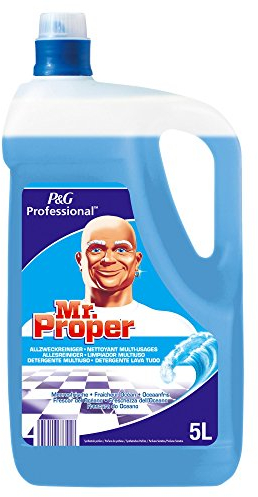 Professional Mr.Proper Allzweckreiniger Meeresfrische 2 x 5 Liter, 1er Pack (1 x 10 l)