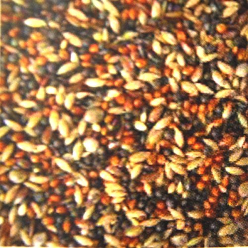 5 kg Zeisig-Stiegitz-Futter, Spezialfutter für freilebende Vögel, Vogelfutter