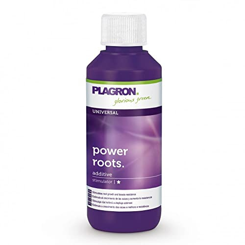 POWER ROOTS 100ml - Plagron