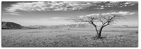 Leinwandfoto als Panorama SCHWARZ/WEISS 120x40cm Afrika Steppe Berge Baum Himmel Wolken