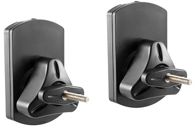 HALTERUNGSPROFI LS38 Lot de 2 supports muraux universels pour enceinte Noir 10 kg