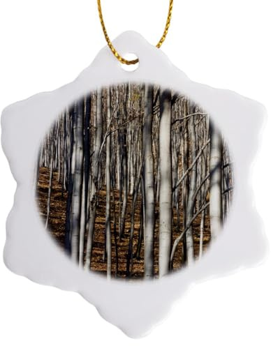 3 inch Snowflake Porcelain Ornament - Common Beech Trees, Buekk National Park, Hungary - EU13 MZW0380 - Martin Zwick Trees