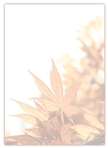 Motiv Briefpapier (Herbst-5034, DIN A4, 100 Blatt). Einseitig bedrucktes Briefpapier, sehr gut beschreibbar, Motivpapier für alle Drucker/Kopierer geeignet Motiv Herbst Laub Blätter